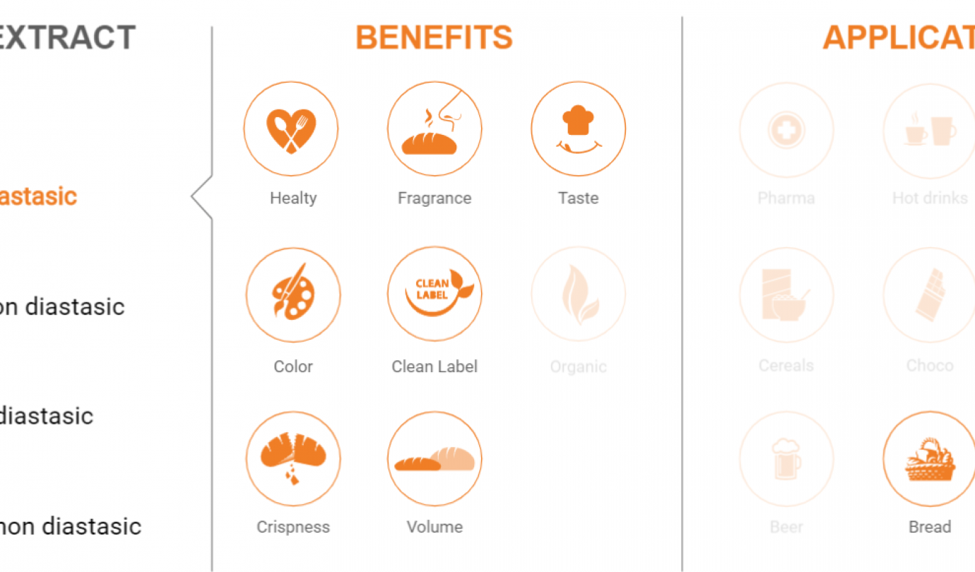 Liquid diastatic malt extracts Malteurop